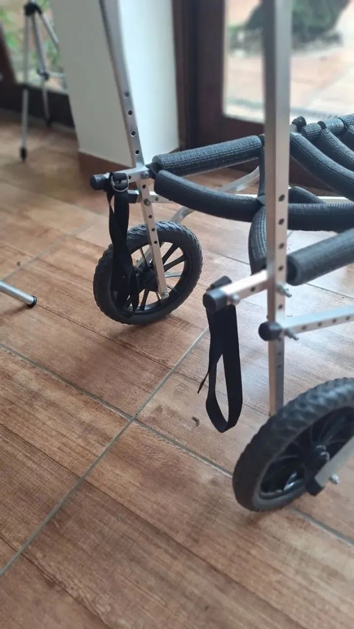 Andador 4 rodas para cão tamanho XG - Foto 2