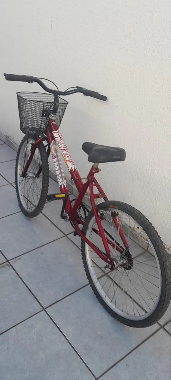 Bicicleta aro 24