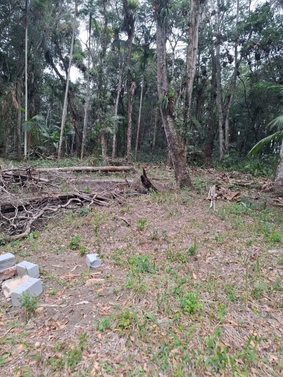 Foto - Itapecerica da Serra - 