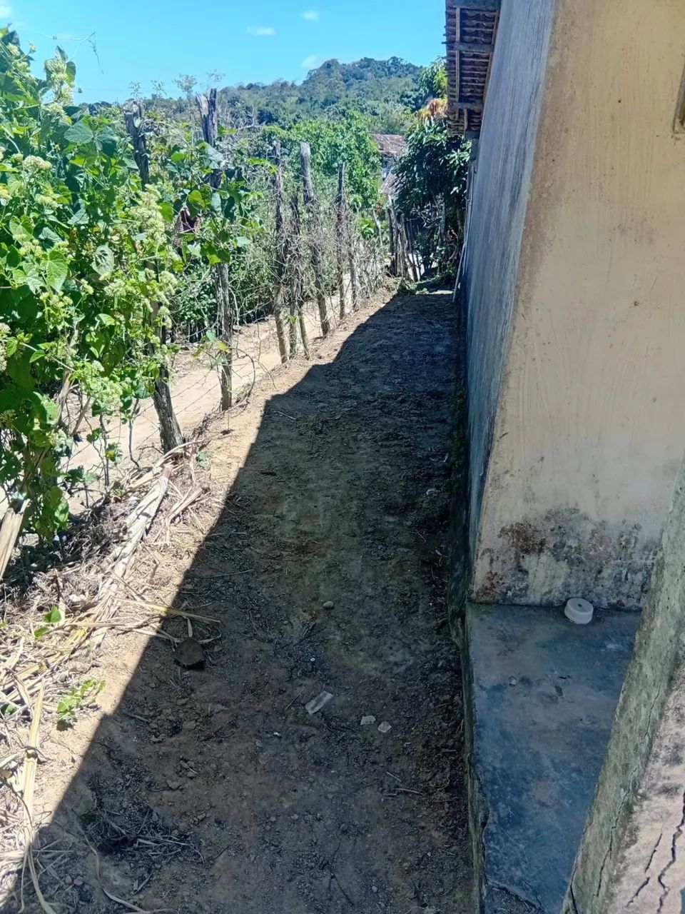 Sítio em São Joaquim do Monte  - Foto 3