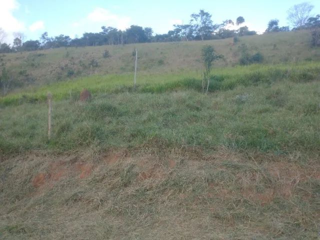 Granja ou Granjeamento  - Foto 2