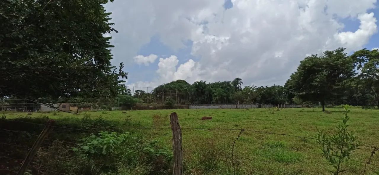 Chácara 42.000 metros Chácara Recreio Samabaia - Foto 4