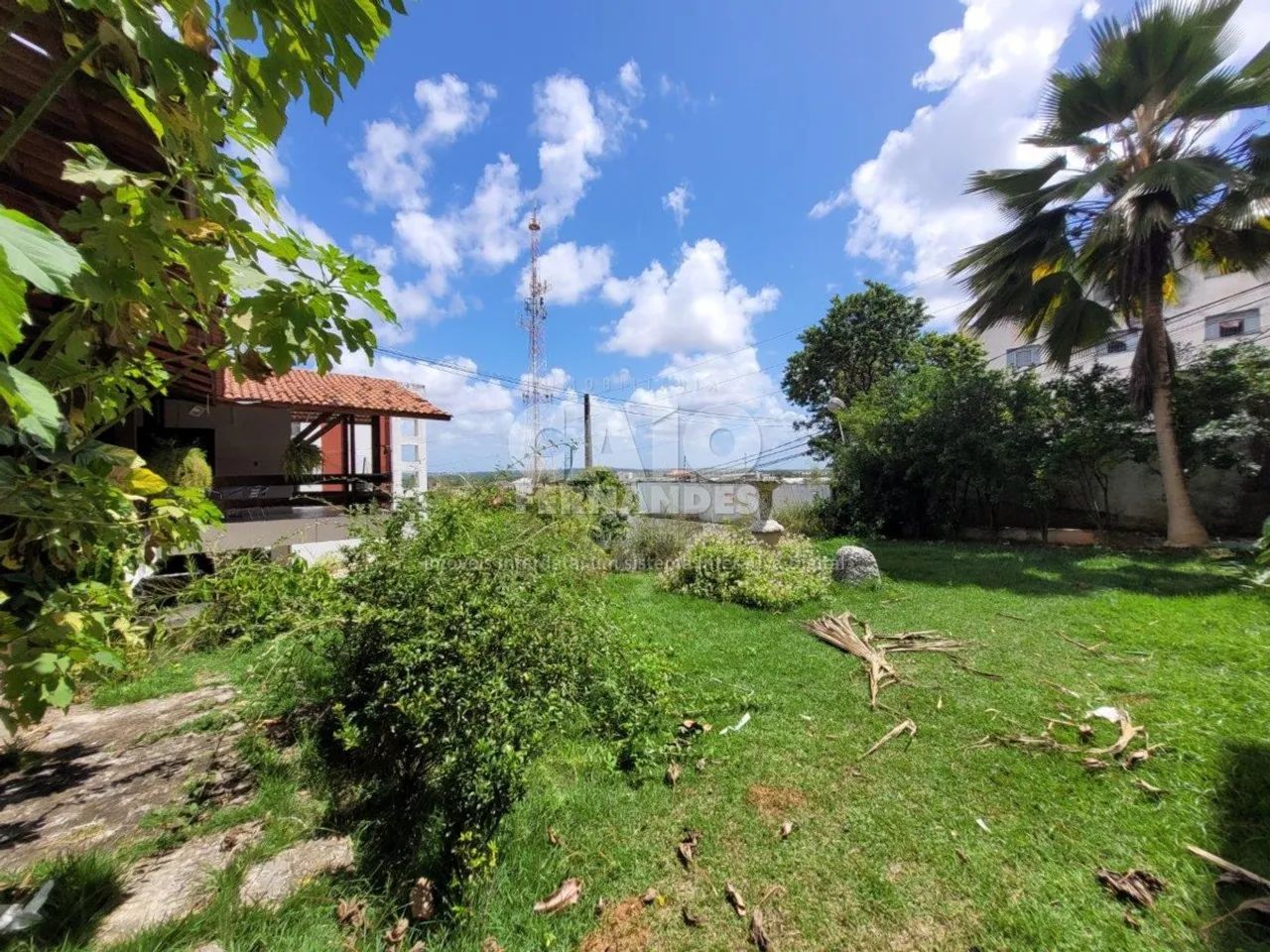 Casa na Ribeira - Foto 4