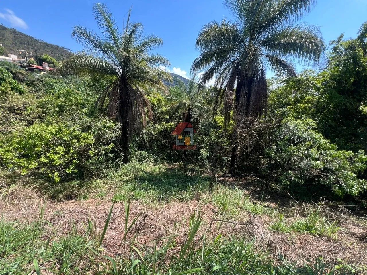 LOTE À VENDA CONDOMÍNIO VEREDAS - Foto 3