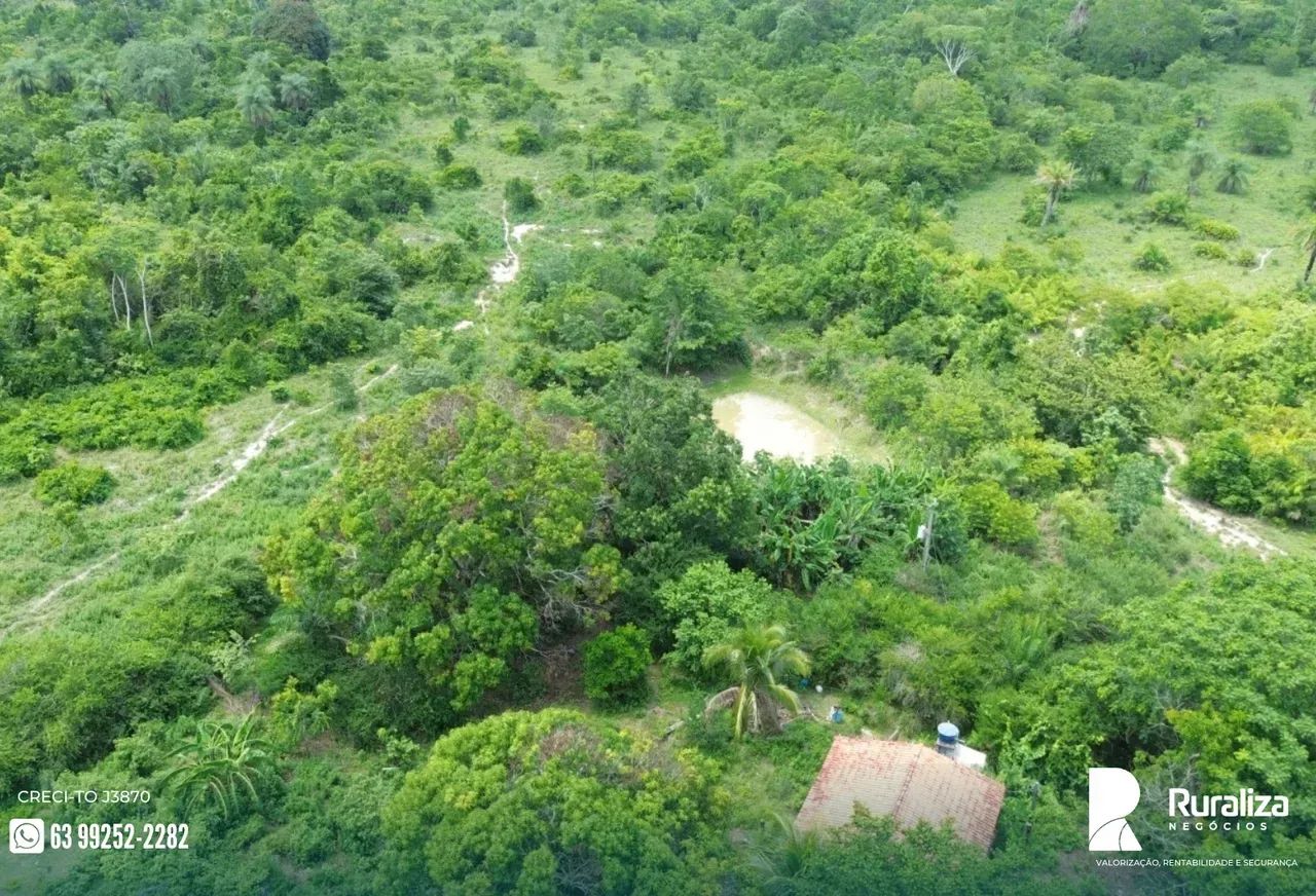 55 HECTARES COM CÓRREGO PERENE | DOCUMENTADA | OPORTUNIDADE - Foto 5