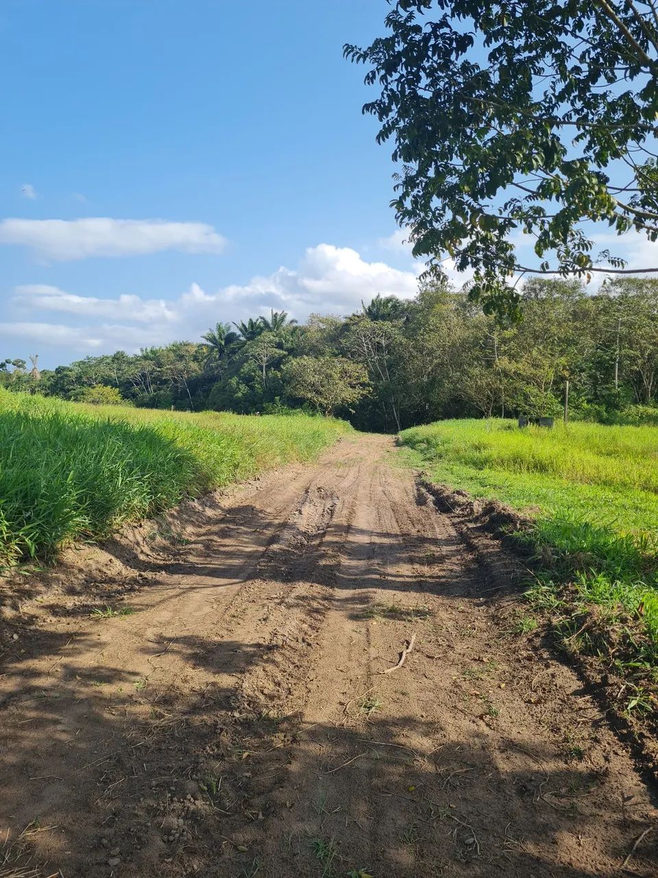  BR 324. Vendo terreno 2.500 m2 - Foto 4