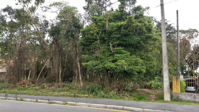 Terreno Colombo/Embu - Foto 4