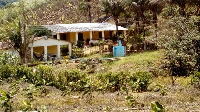 Propriedade de 37 hectares, com 20 hectares de plantio de banana, em Amaraji-PE!