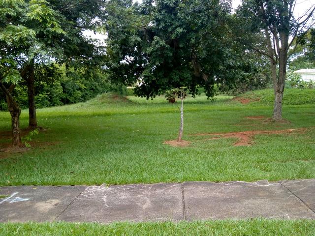 Lote, Condomínio Horizontal, Aldeia do Vale * - Foto 6