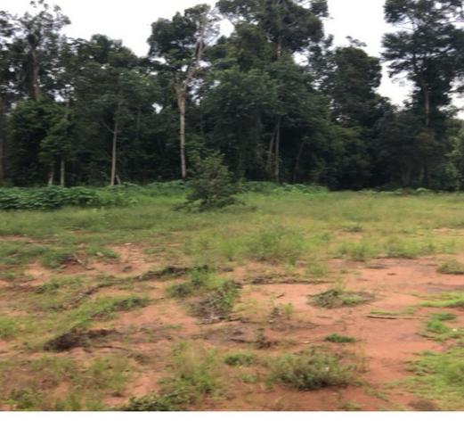 Chácara de 10.000 m2,Nova Mutum-MT, Troco imóveis em Tangará - Foto 5