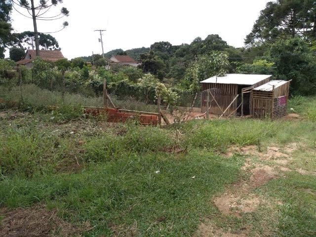 REF 2456 -Chácara Excelente na Serrinha, com 10.000 m², com uma casa - Foto 2