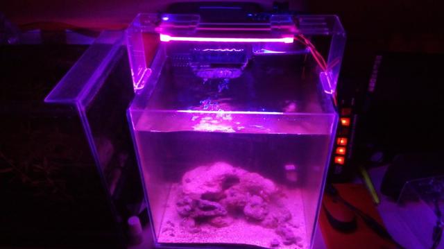 Luminária para Aquário (1 mês de uso) - Foto 4