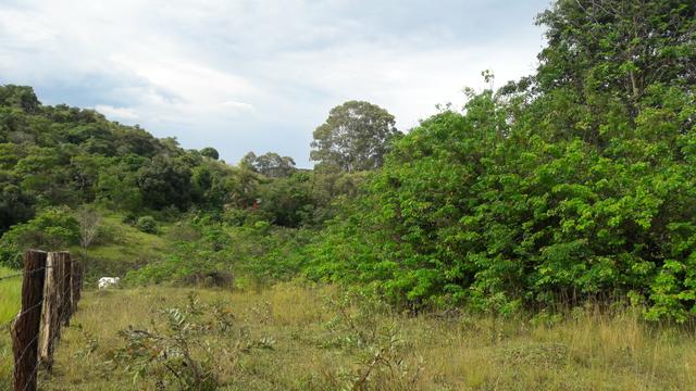 Saquarema - Terreno Madressilva - Rio Seco - 10.139m2 Próximo Km 64 Amaral Peixoto - Foto 12
