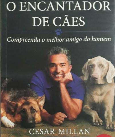 Adestrador de cães