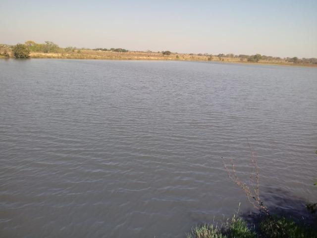 Fazenda há 10 km de Livramento com piscina, muito pasto, represas e lago - Foto 10