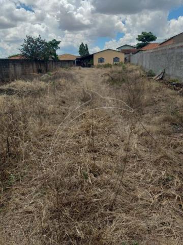 Rua 07 lote comercial, residencial - Foto 8
