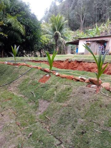 Sitio Timbui Fundão ES Oportunidade - Foto 7