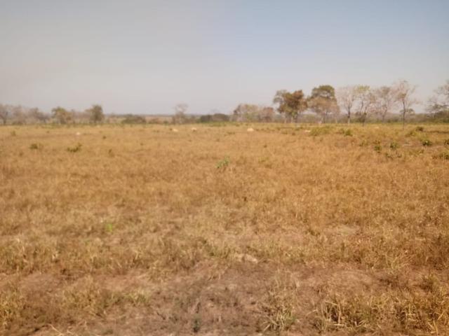 Fazenda há 10 km de Livramento com piscina, muito pasto, represas e lago - Foto 19