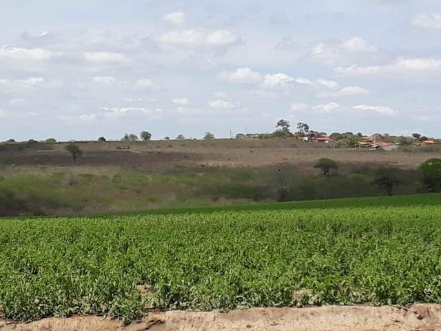 Sítio em Chã Grande, com 10 hectares. Casa sede c/4 qts, sendo 3 suítes, - Foto 12