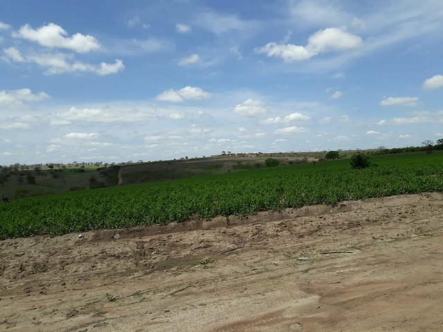 Sítio em Chã Grande, com 10 hectares. Casa sede c/4 qts, sendo 3 suítes, - Foto 9