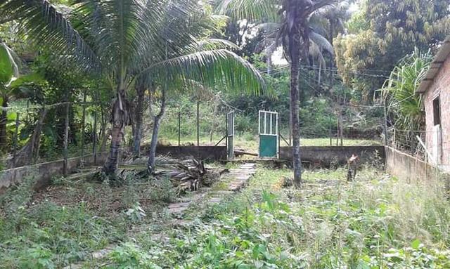 Vendo casa na ilha 15 mt da praia , atras do Iate Club - Foto 4