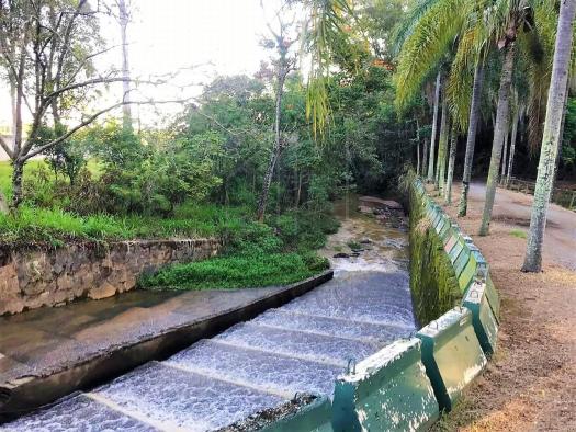 Casa à venda com 3 dormitórios em Swiss park, Campinas cod:CA000180 - Foto 4