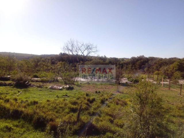 Área à venda, 48400 m² por R$ 120.000,00 - Bofete - Bofete/SP - Foto 9
