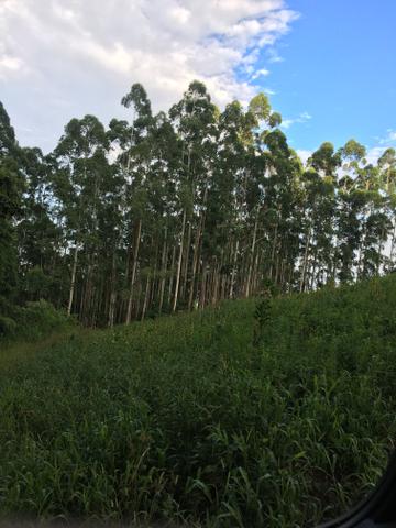 Lindo TERRENO para sítio - Foto 2
