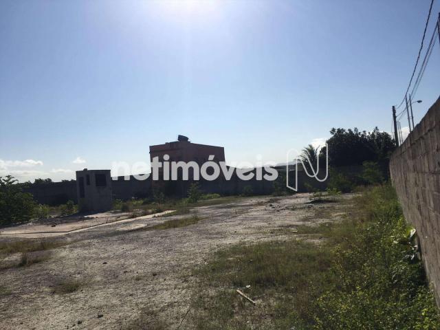 Terreno à venda com 0 dormitórios em Morada da barra, Vila velha cod:768576 - Foto 2
