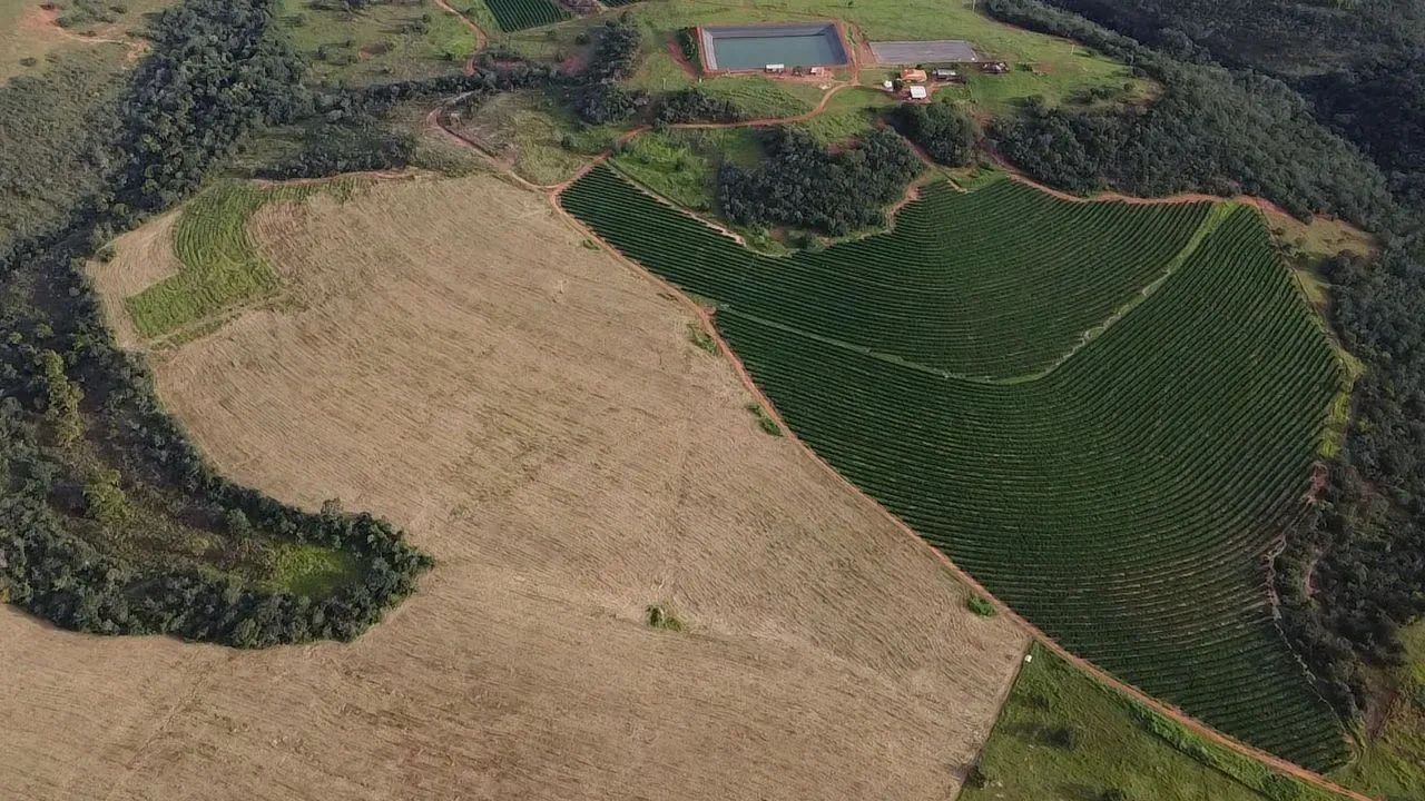 FAZENDA GRANDE COM 1.670HECTARES PRA DUPLA APTIDÃO, PRODUÇÃO DE CAFÉ E PECUÁRIA!! - Foto 3