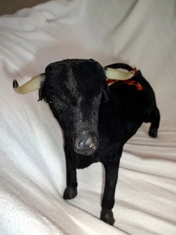 Souvenir da Espanha-Vintage (Item para Colecionador ou Decoração)