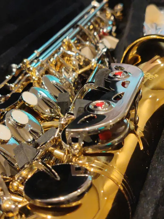 Sax Alto Novo Garantia 12 Meses Fundo Musical Ensaio Regional