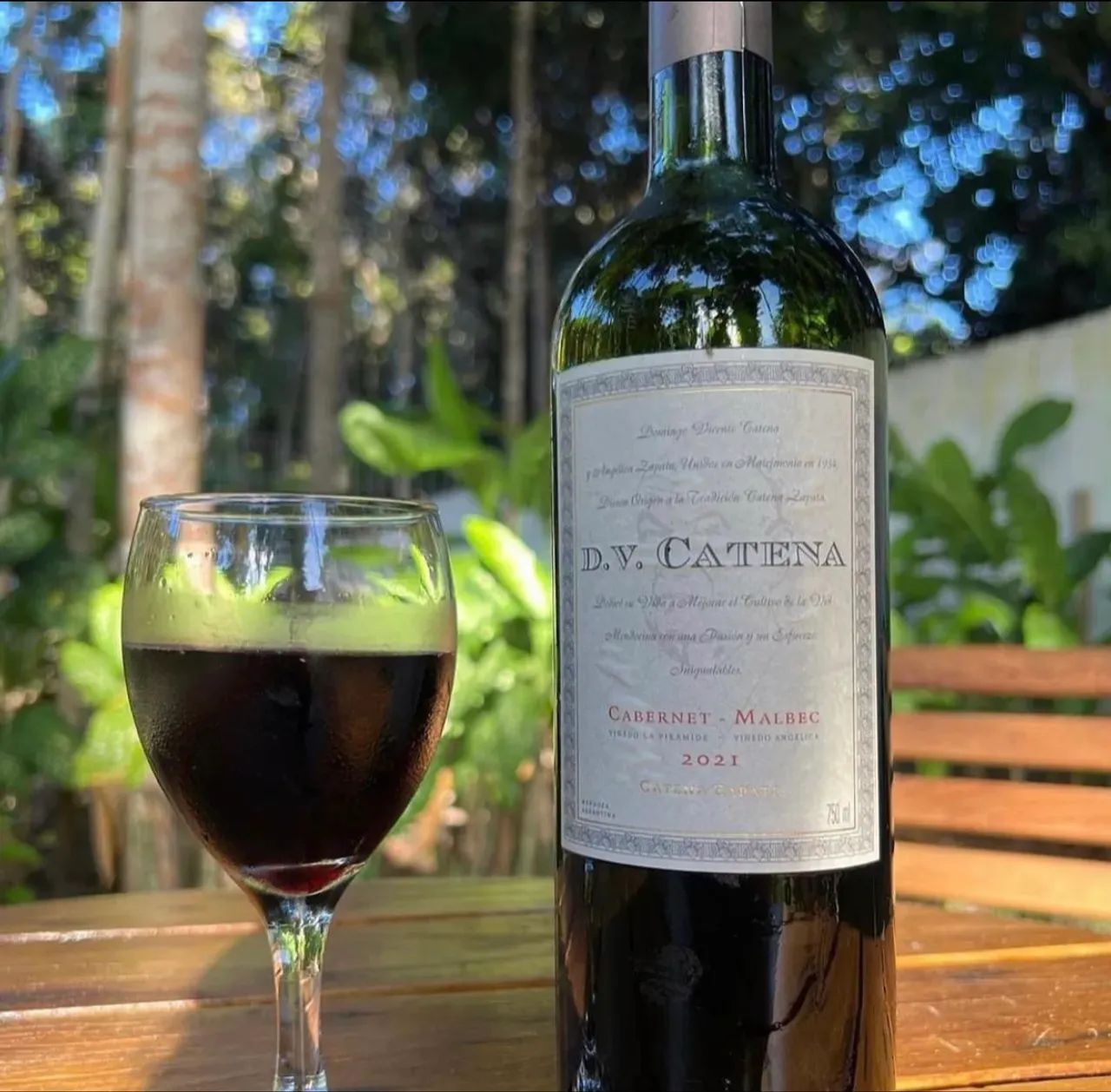 Vinho DV Catena (salve o número sempre tenho) R$80,00