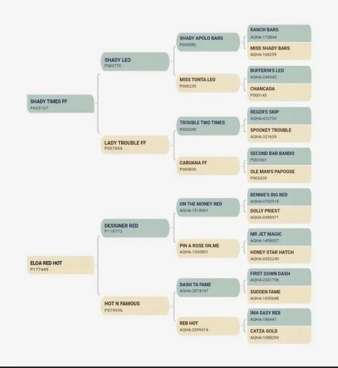 Excelente oportunidade potro QM PURO DE ORIGEM - Foto 4