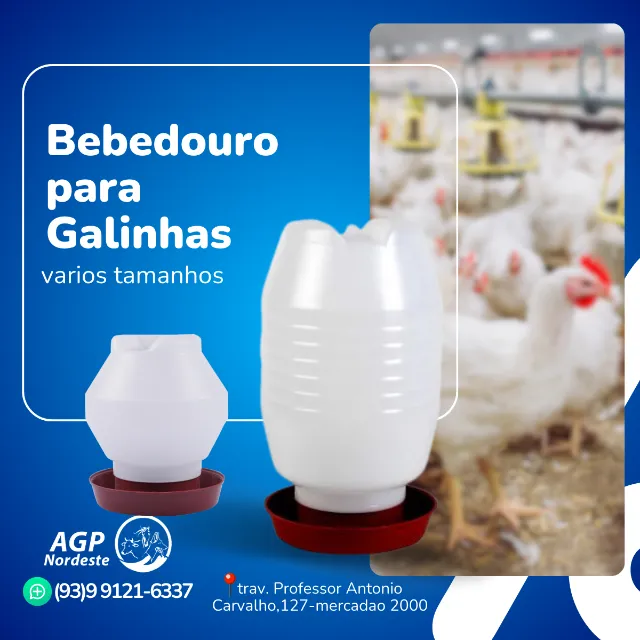 Bebedouros para pintos, galinhas e frangos
