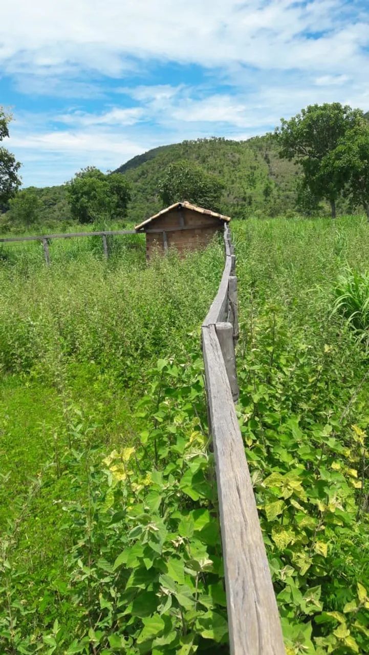 FAZENDA 43,5 ALQ  - Foto 2