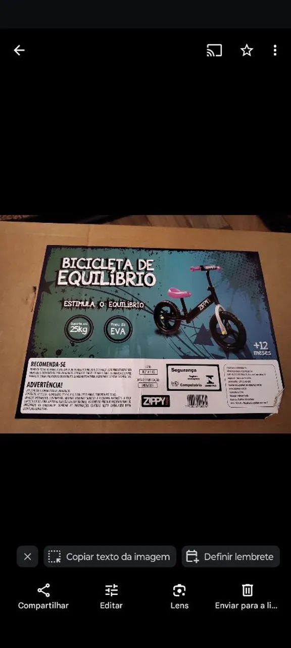 Bicicleta de Equilíbrio Infantil - Zippy