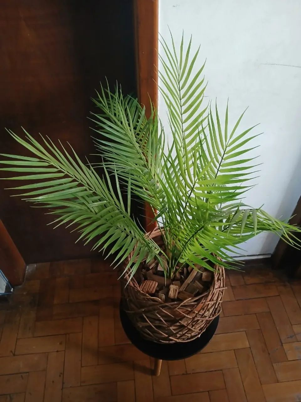 VASO DE PLANTA