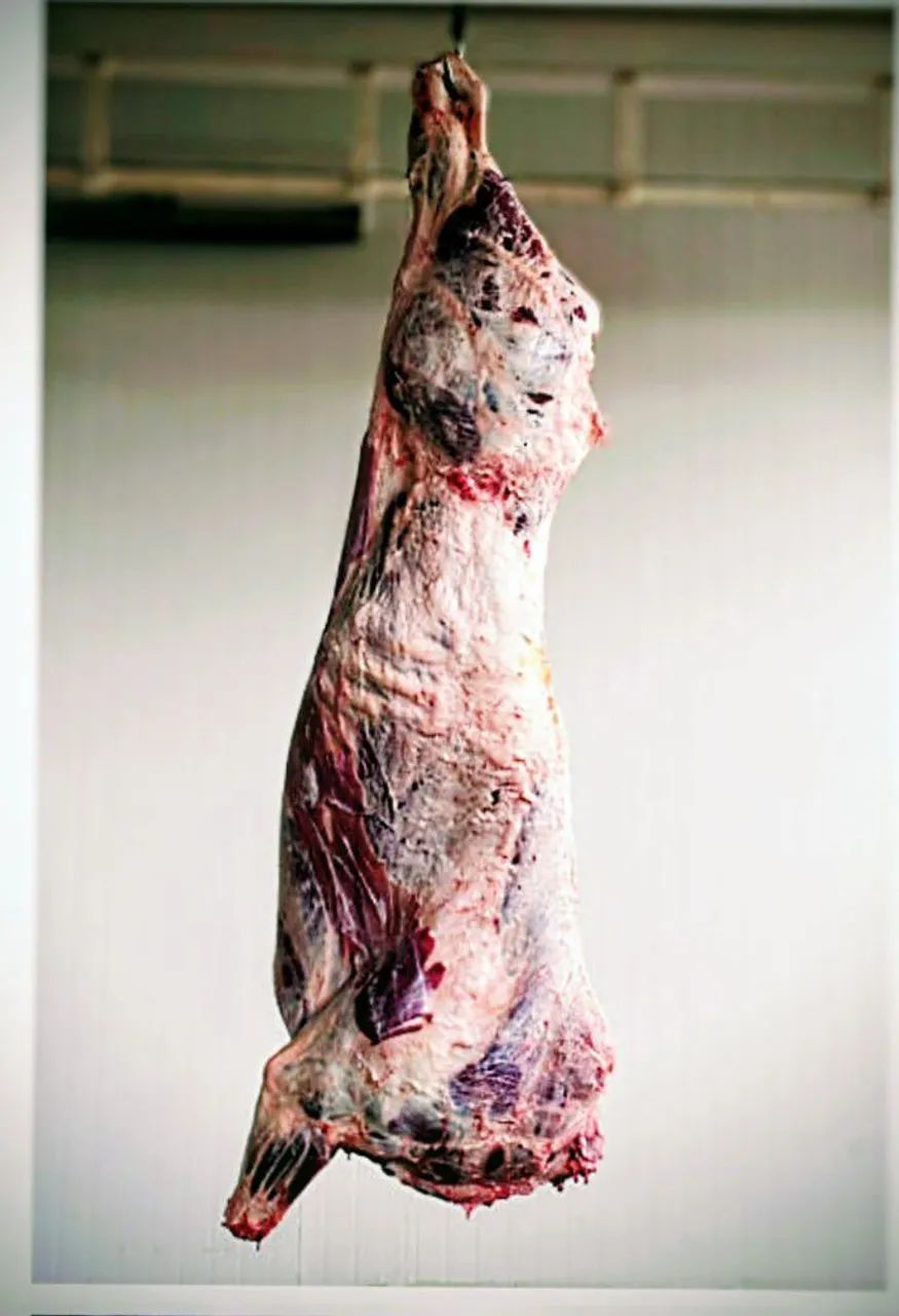 Venda de, carcaça bovina.!!!!