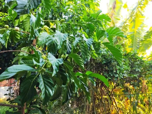 Alugo Kitnet em Novo Porto Canoa na Serra