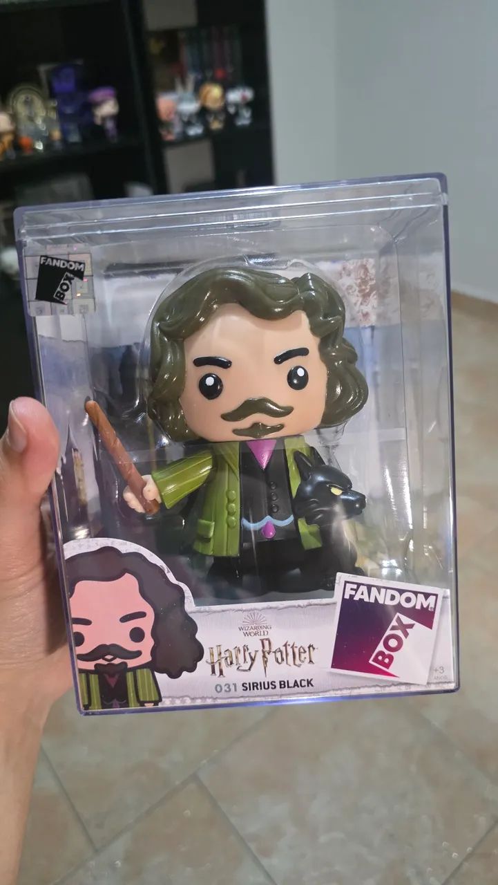  Sirius Black Fandom Box