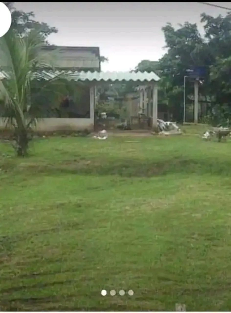 Vendo ou troco casa, caminhão,colônia,