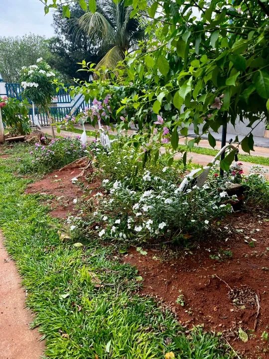 Terreno + Casa em Condomínio Fechado às Margens do Rio Paraná - ACEITO PERMUTA POR AUTO - Foto 3