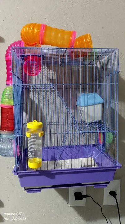 Gaiola para Roedores