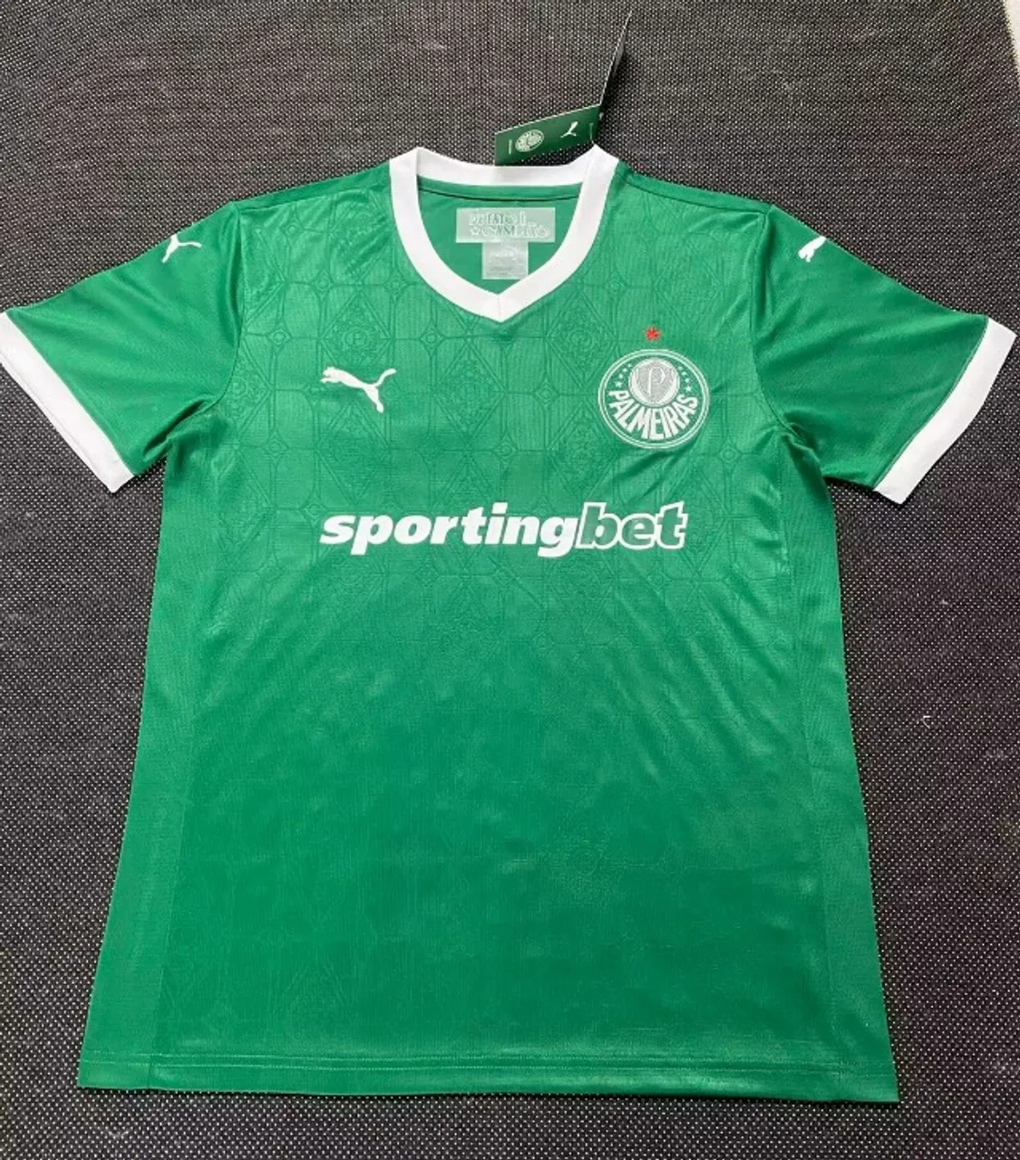 Camisa do Palmeira 25/26 Mas/Fem - Novo