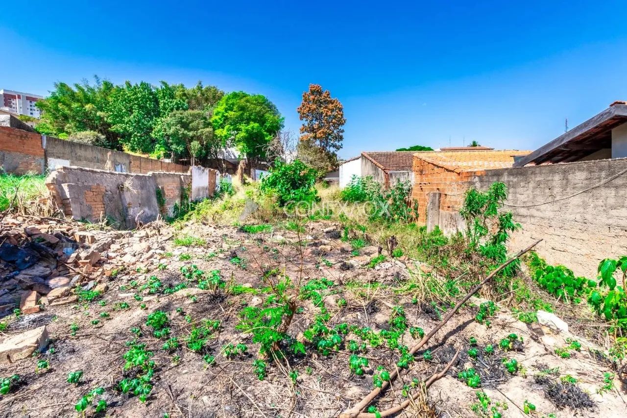 terreno - Vila Marieta - Campinas - Foto 3