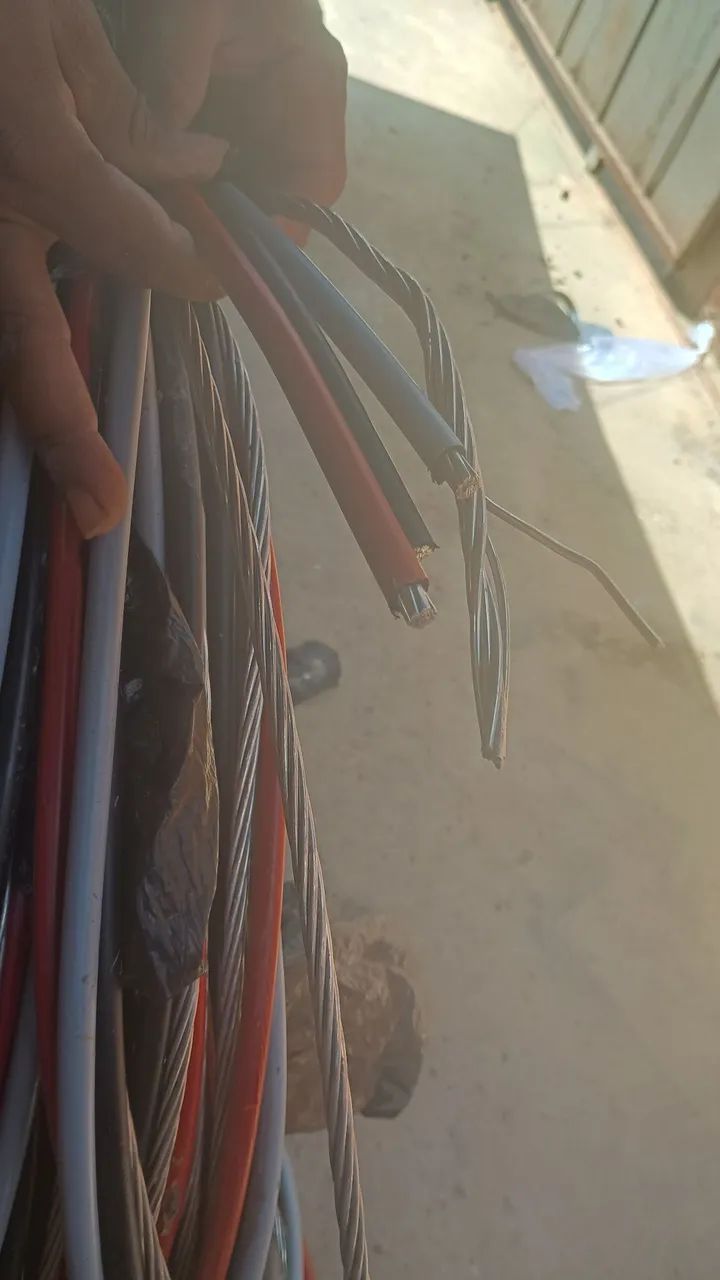 Fio401276164385679361