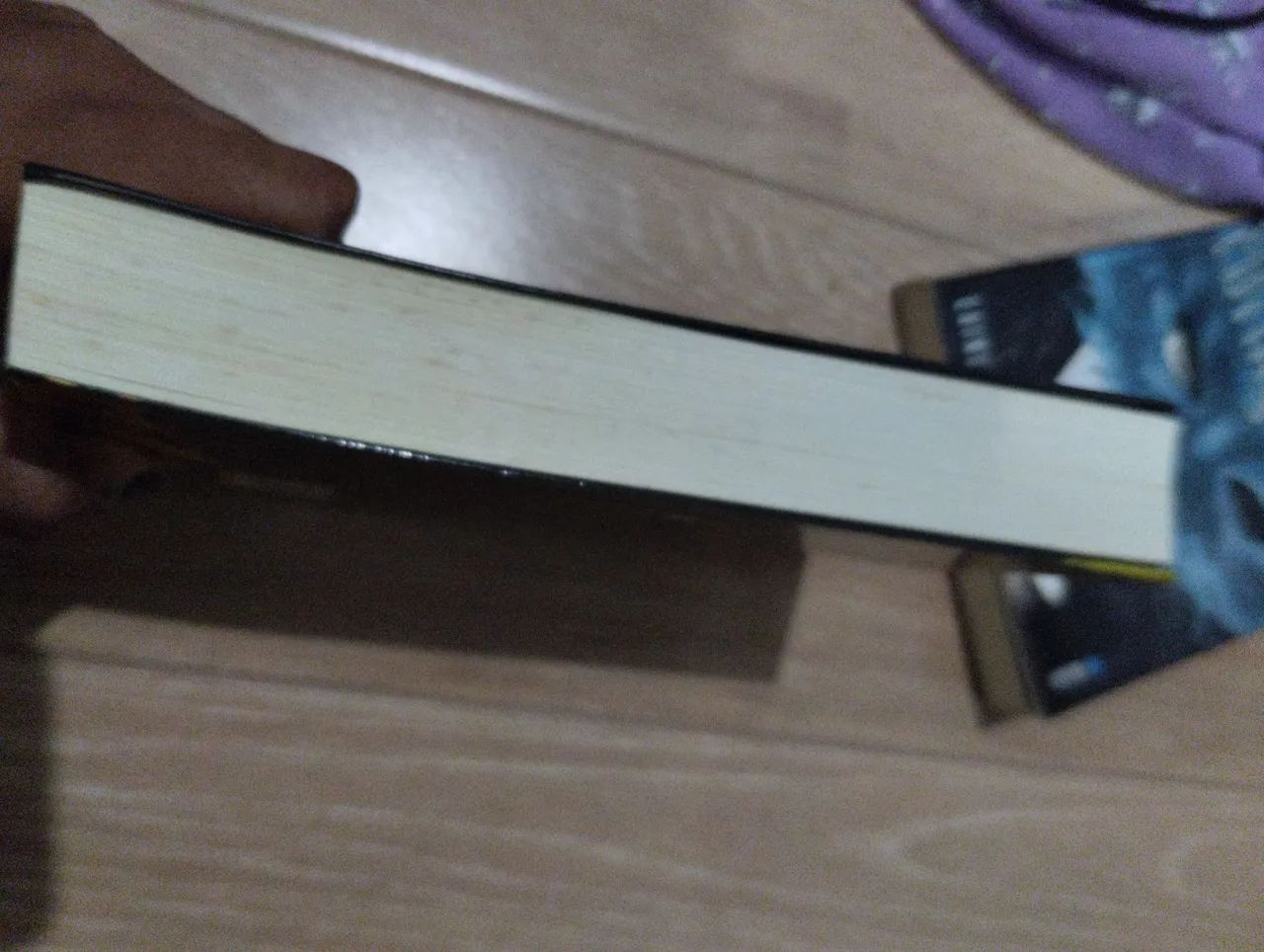 Sonhos com Deuses e Monstros - Laini Taylor - Foto 2
