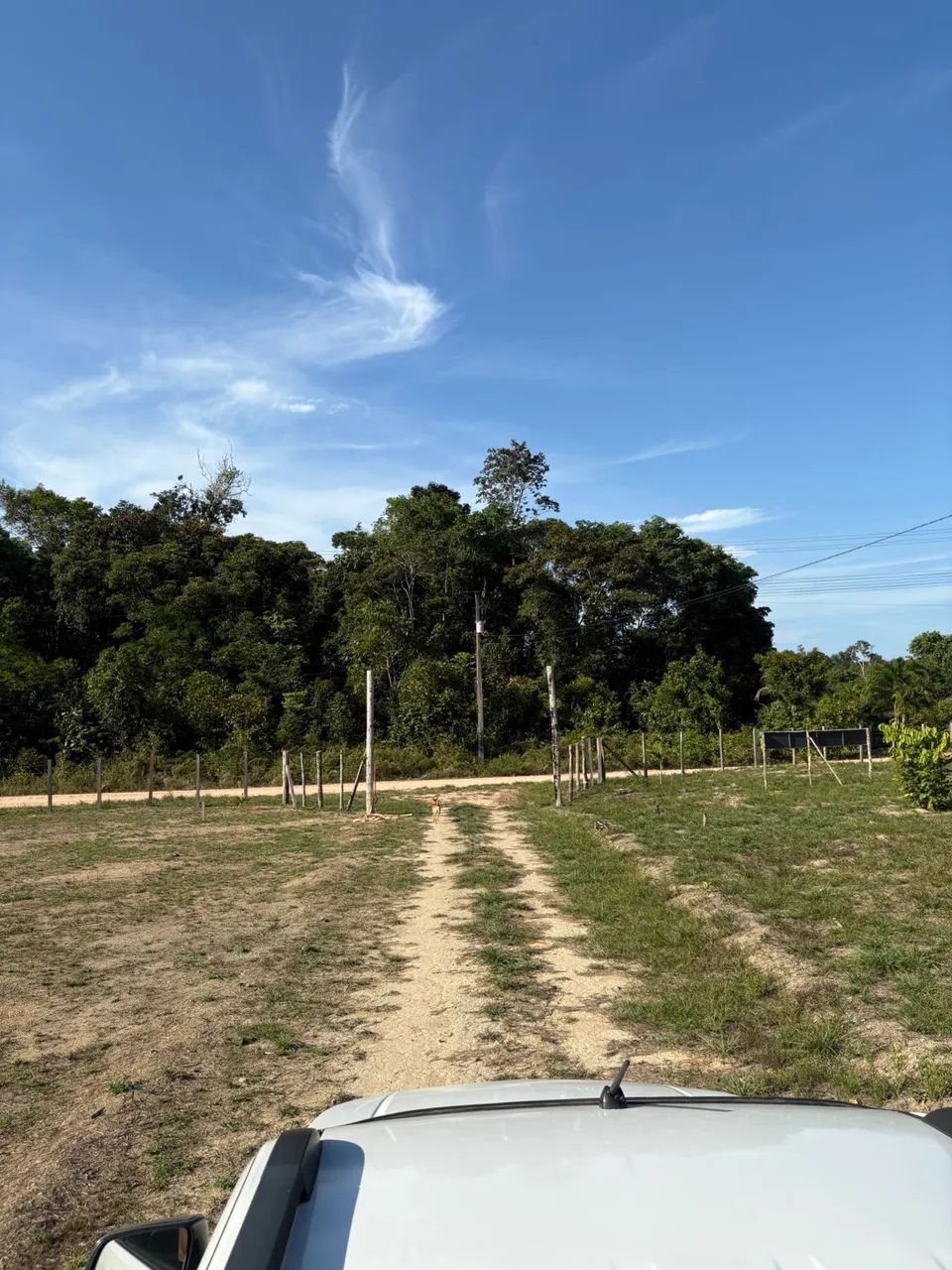 Sítio no rio preto da Eva 