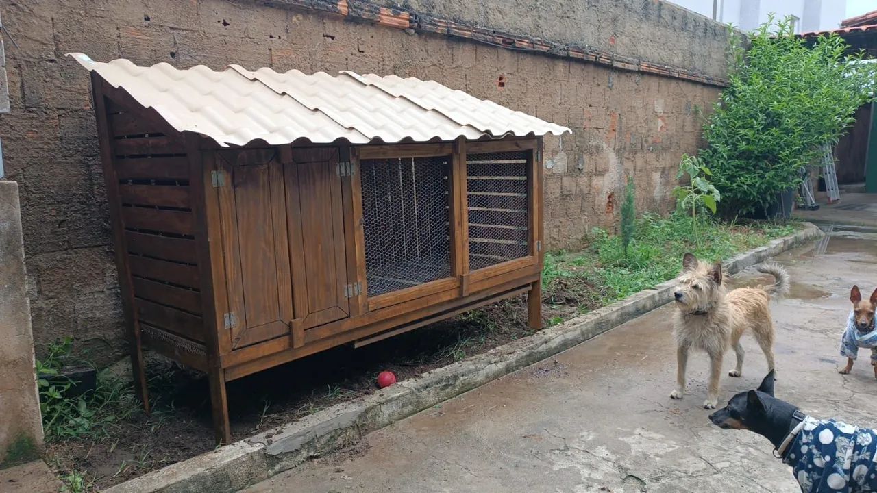 Galinheiro viveiro de madeira 